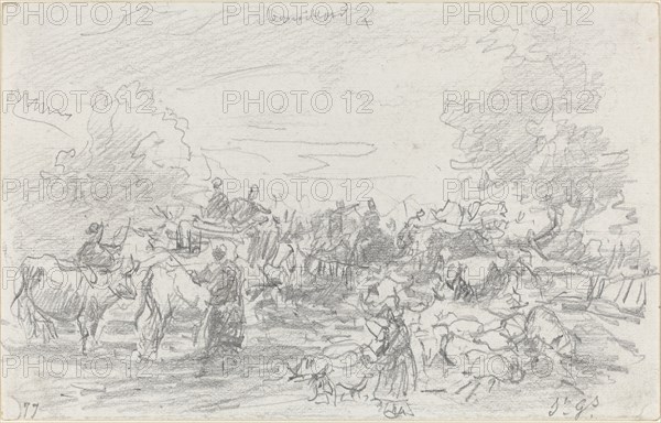Herds Crossing a Stream