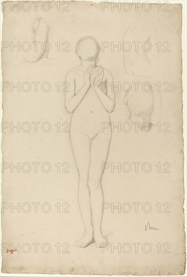 Study of a Female Nude