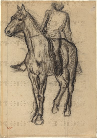 Horse and Rider