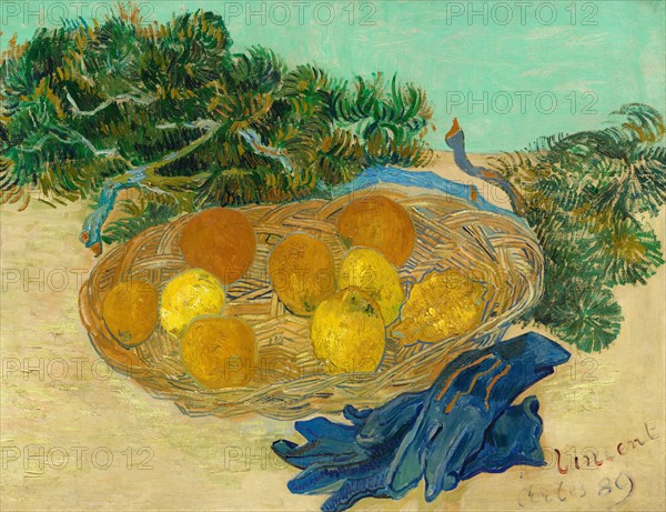 Still Life of Oranges and Lemons with Blue Gloves