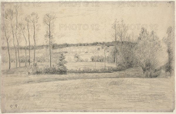 Trees and Meadows at Eragny