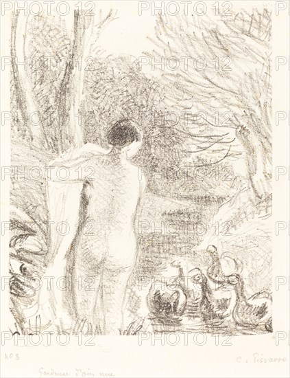 Gardeuse d'oies nue