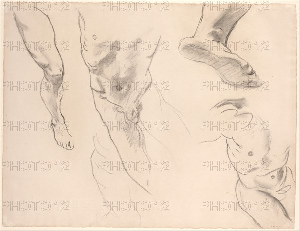 Figure Studies of a Nude Youth