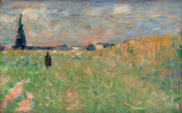 A Summer Landscape