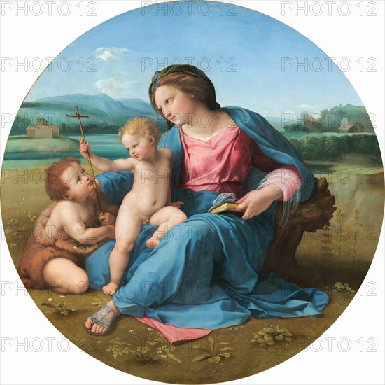 The Alba Madonna