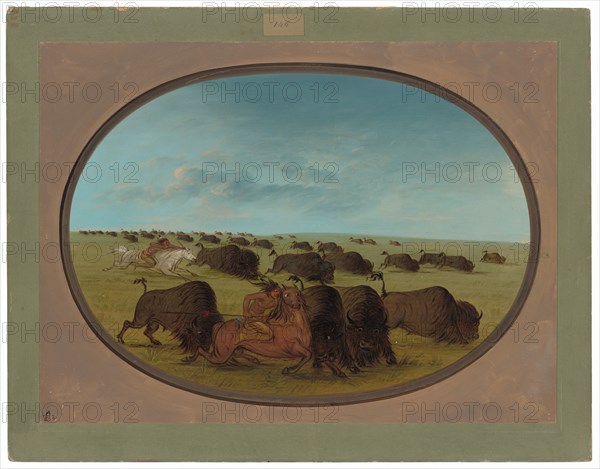 Buffalo Chase