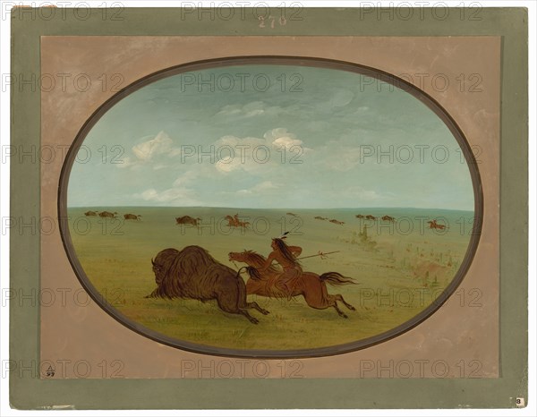 Buffalo Chase