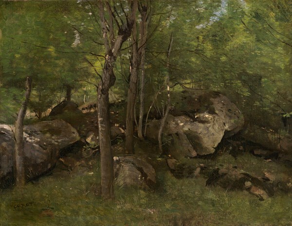 Rocks in the Forest of Fontainebleau