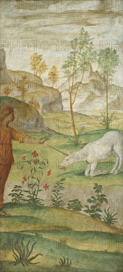 Procris and the Unicorn