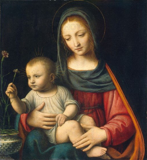 The Madonna of the Carnation