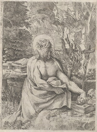 Saint Jerome in the Wilderness