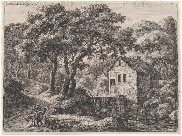The Mill in the Woods