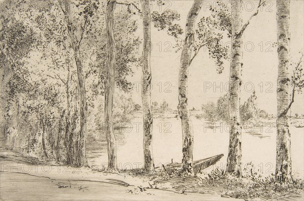Trembles au bord de la Seine