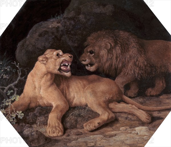 Lion and Lioness, 1770.