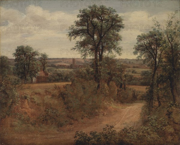 Lane near Dedham;Road near Dedham;Fen Bridge Lane;A Road Near Dedham;View of Dedham Church from Flatford Lane, 1802.