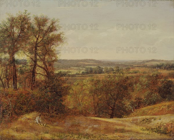 Dedham Vale;The Stour Valley;View of Dedham, 1802.