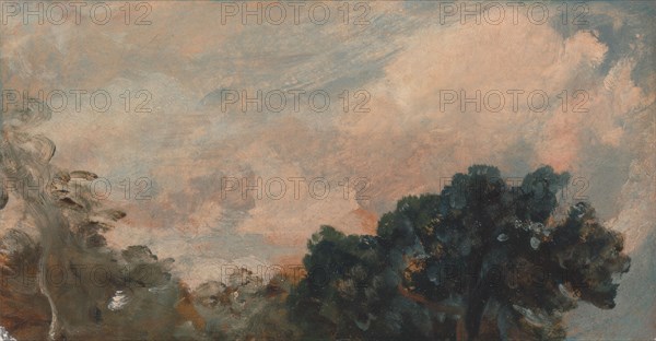 Cloud Study with Trees;Study of Clouds and Trees, 1821.