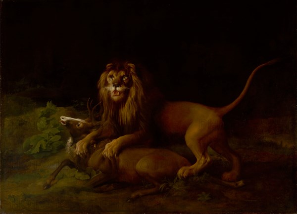 A Lion Attacking a Stag;Lion devouring a stag;Lion Slaying a Buck;Lion Killing a Stag, between 1765 and 1766.