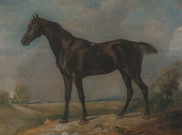 Golding Constable's Black Riding-Horse, between 1805 and 1810.