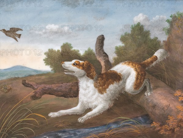 Springer: A Spaniel Bounding Over a Log to Spring a Snipe on the Left, ca. 1805. after Philip Reinagle