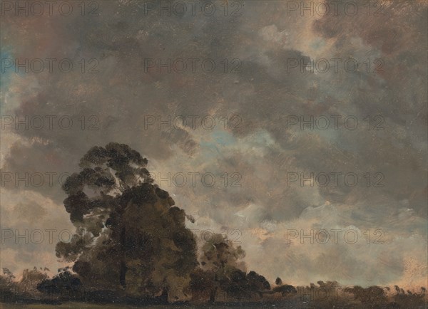 Cloud Study;Landscape at Hampstead, Trees and Storm Clouds;Clouds over a Landscape with a tall Tree;Landscape at Hampstead: Trees and Storm Clouds, ca. 1821.