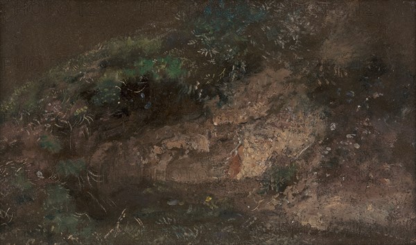 Undergrowth;A Bank with Undergrowth, ca. 1821.