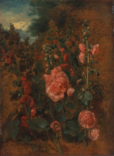 Study of Hollyhocks;Hollyhocks, ca. 1826.