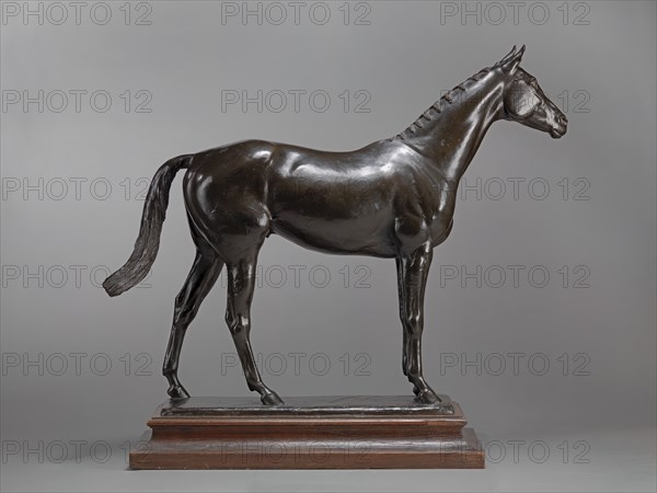The Tetrarch;The Racehorse, The Tetrarch, ca. 1913.