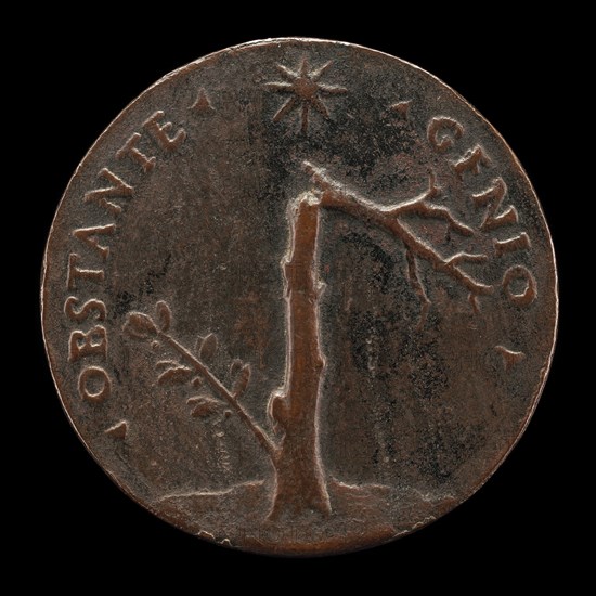 Broken Laurel Tree with Leafy Branch [reverse], probably 1532.