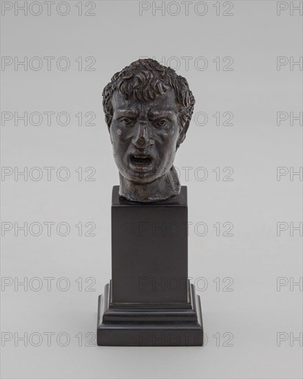 The Bust of a Man (Vulcan?).