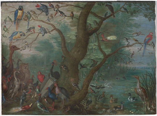 Concert of Birds, 1660/1670.