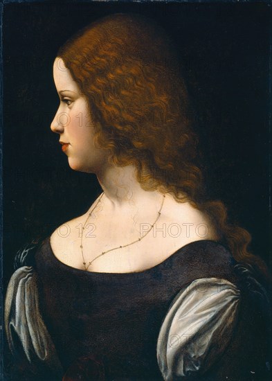 Portrait of a Young Lady, c. 1500.