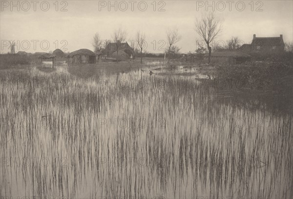 A Rushy Shore, 1886.