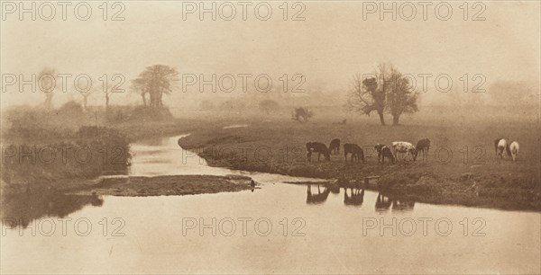 Sheep on the Marshes [Landscape with Cattle], 1890-1891, printed 1893.