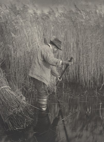 A Reed-Cutter at Work, 1886.