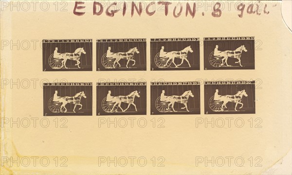 Internegative for Horses. Trotting. Abe Edgington. No. 28, 1878.