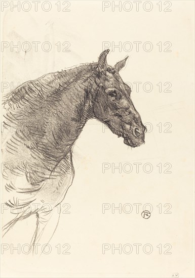 Old Horse (Le vieux cheval), 1897.