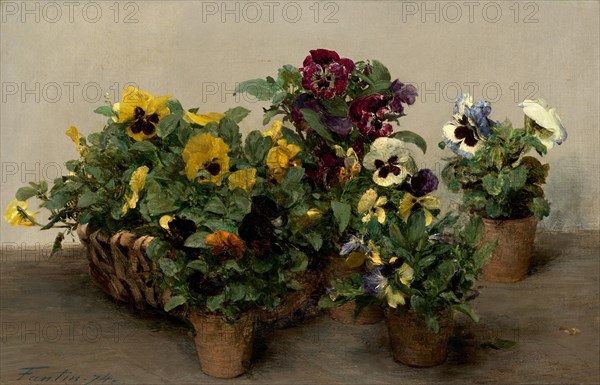 Pansies, 1874.