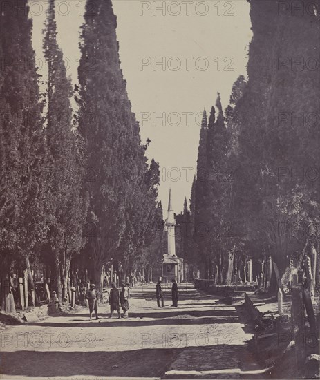 Vue dans le Grand Cimetière de Scutari (Scene in the Large Cemetery of Scutari) , 1857.