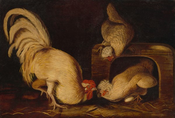 Farmyard Fowls, c. 1827.