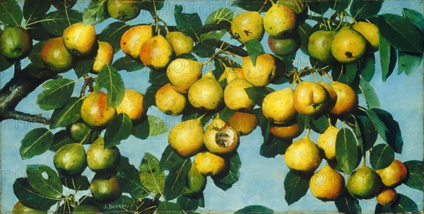 Ripening Pears, c. 1884/1885.