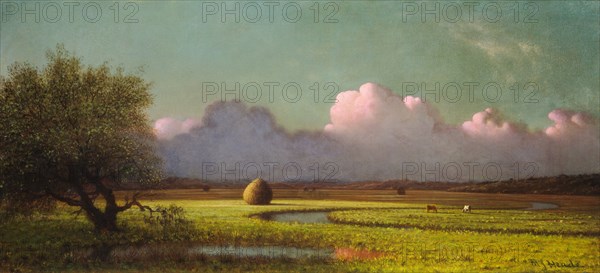 Sunlight and Shadow: The Newbury Marshes, c. 1871/1875.