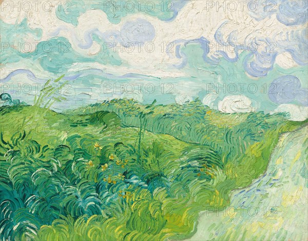 Green Wheat Fields, Auvers, 1890.