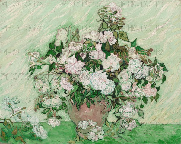 Roses, 1890.