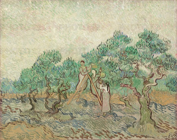 The Olive Orchard, 1889.