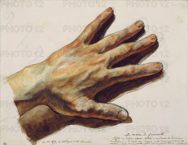 The left hand of  Théodore Géricault. Found in the collection of Musée du Louvre, Paris.