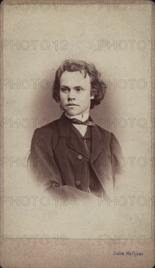 Portrait of the composer Anton Rubinstein (1829-1894). Private Collection.