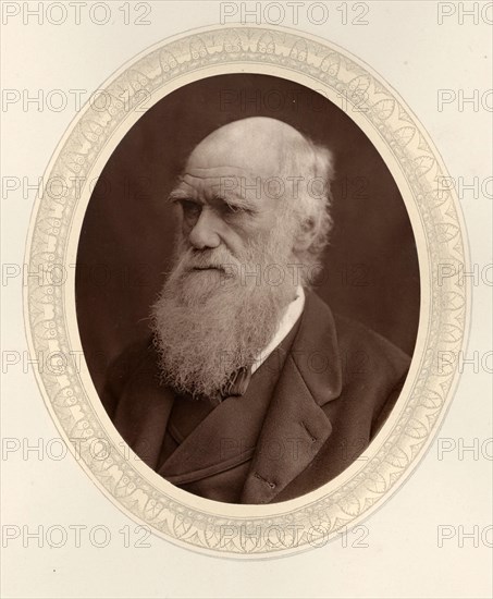 Portrait of Charles Darwin (1809-1882), 1877. Private Collection.