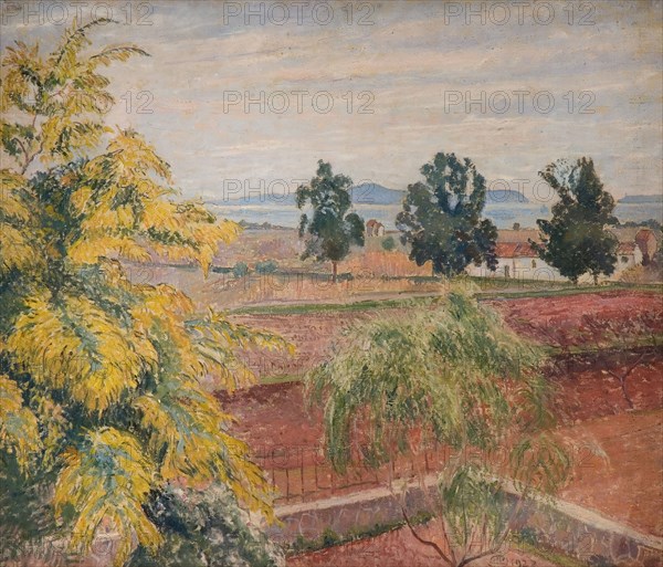 Mimosa Lavendou, 1923.