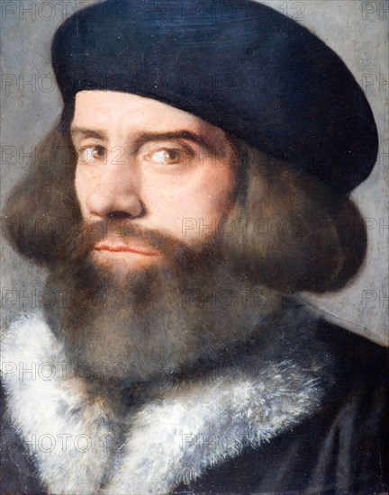 Head Of A Bearded Man, 1537.